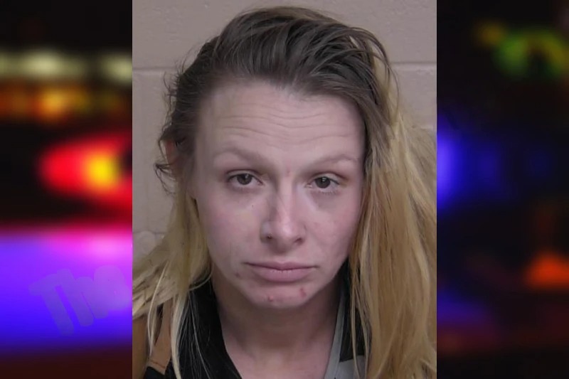 Misty Sloan mugshot – Walker County , Georgia Misty Sloan mugshot