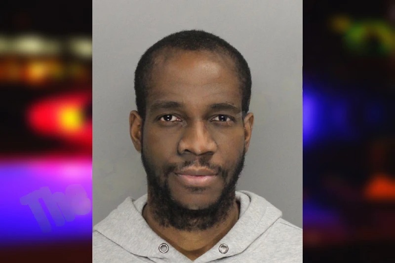 Mololuwa Odesanya mugshot