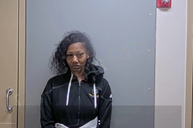 Monica Boyd Mugshots