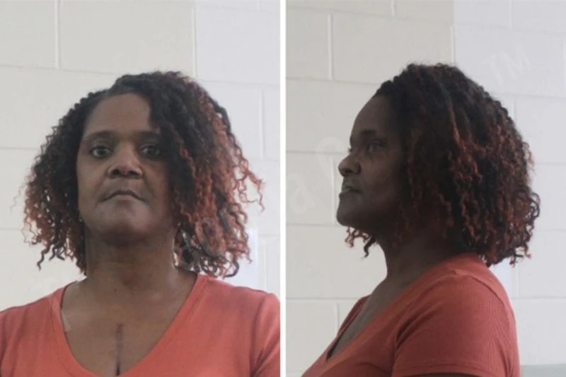 Monica McCalpine Mugshots