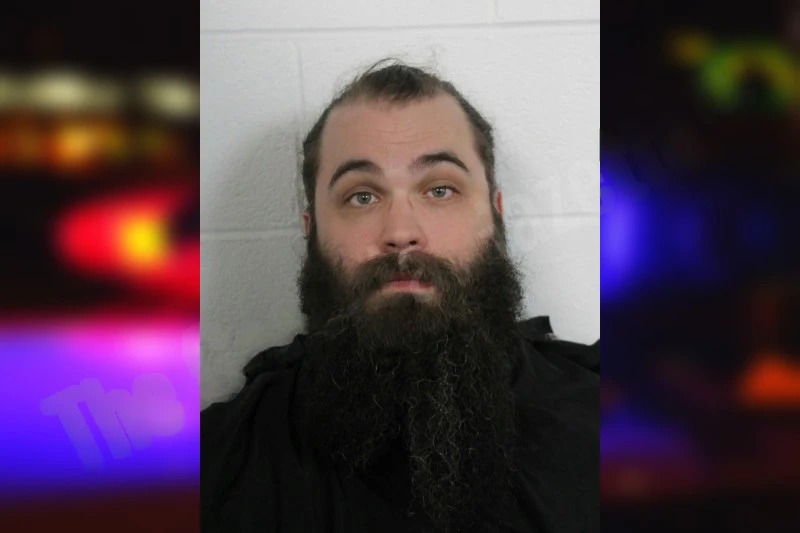 Morgan Shealy Mugshots