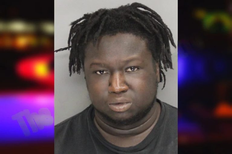 Muhamad Jallow mugshot – Hall County , Georgia Muhamad Jallow