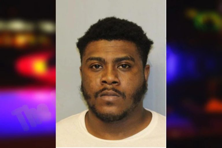 Nahree Rowe mugshot – Hall County , Georgia Nahree Rowe