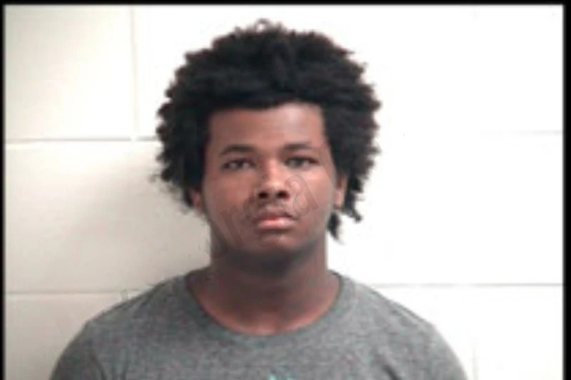 Nakhi Sylve Mugshots