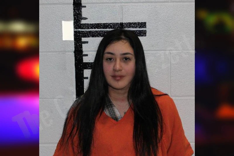 Naret Villalobos mugshot – Murray County , Georgia Naret Villalobos mugshot