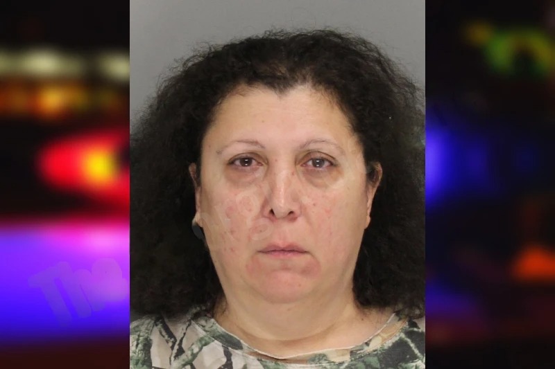 Natalia Neparidze mugshot – Cobb County , Georgia Natalia Neparidze mugshot