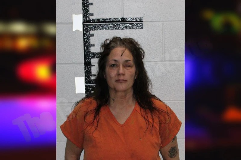 Natalie Summerour mugshot