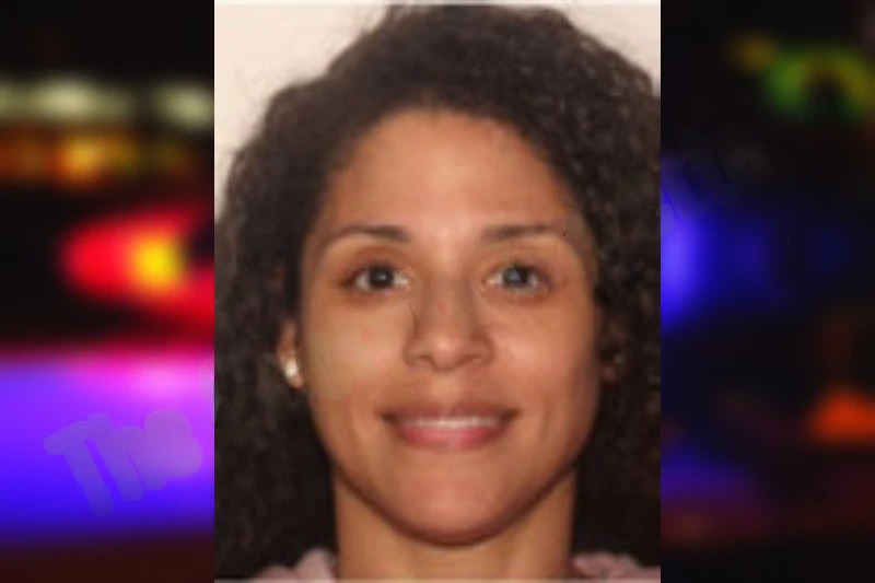 Natasha Price mugshot – Henry County , Georgia Natasha Price mugshot