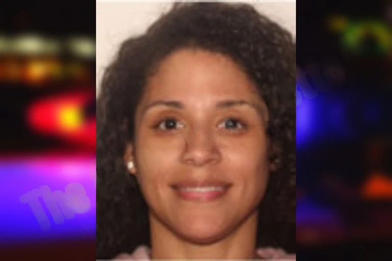 Natasha Price mugshot – Henry County , Georgia Natasha Price