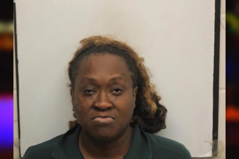 Natasha Tootle mugshot – Whitfield County , Georgia Natasha Tootle