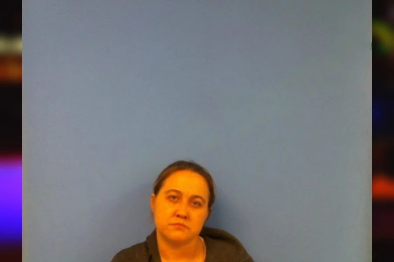 Natasha Williamson Mugshots