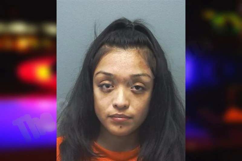 Nathalia Castillo Mugshots