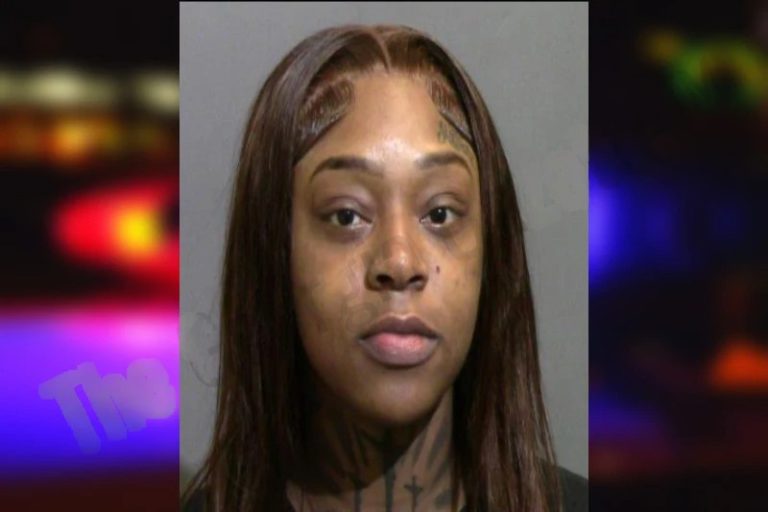 Nattoria Cummings mugshot – Glynn County , Georgia Nattoria Cummings