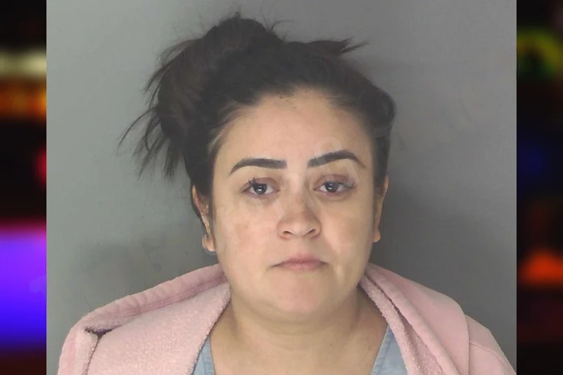 Nayara Barbosa Mugshots