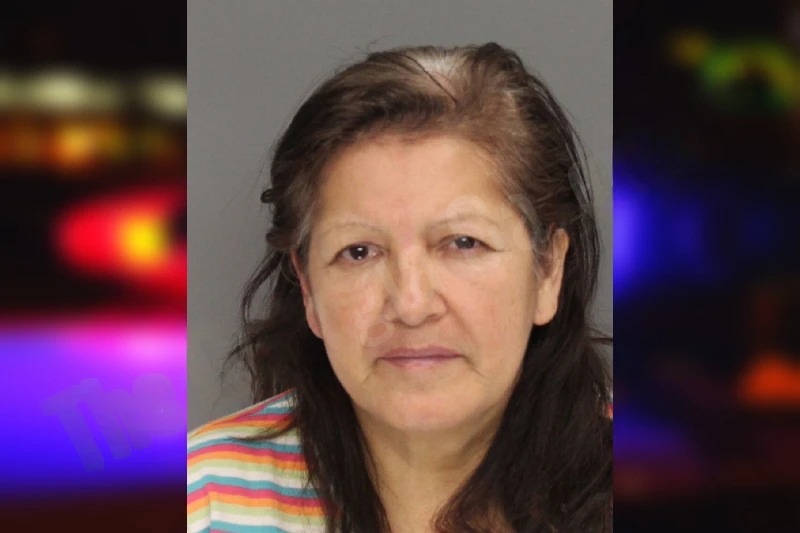 Neli Yungaicela Mugshots