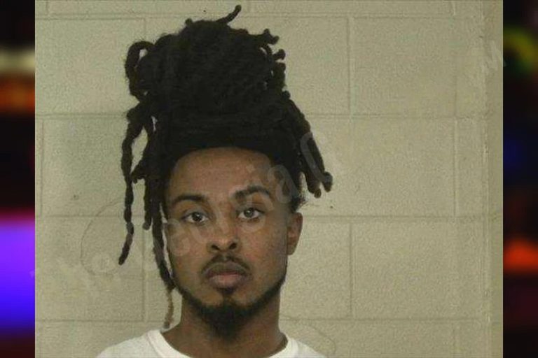 Nicholas Brinson mugshot – Liberty County , Georgia Nicholas Brinson