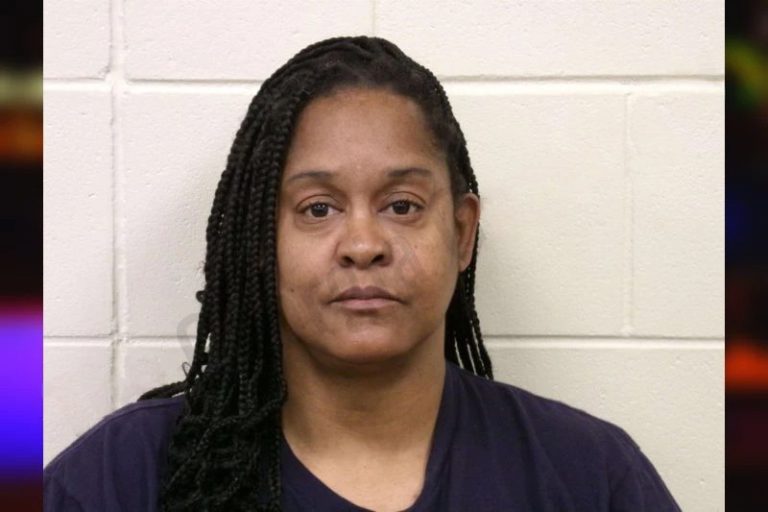 Nicole Donaldson mugshot – Bulloch County , Georgia Nicole Donaldson