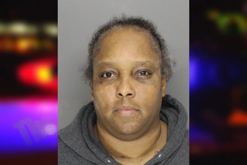 Nicole Turner mugshot