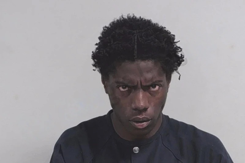 Nieshawn Stoudmire Mugshots