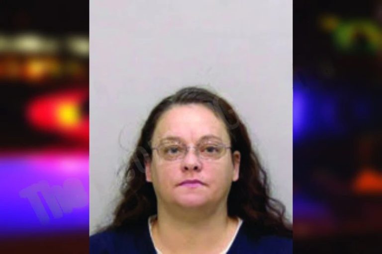 Nikki Fleming mugshot – Bartow County , Georgia Nikki Fleming