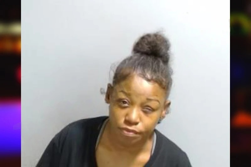 Nina Wilson mugshot – Fulton County , Georgia Nina Wilson mugshot