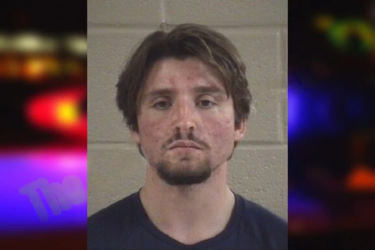 Nino Osmanovic mugshot – Whitfield County , Georgia Nino Osmanovic