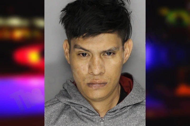 Noel Santana Mugshots