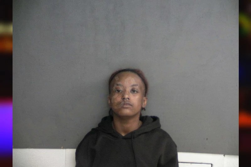 Nyerra Jenkins mugshot
