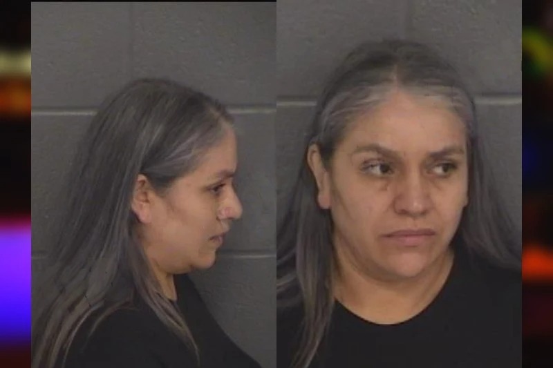 Olivia Negrete Munoz Mugshots