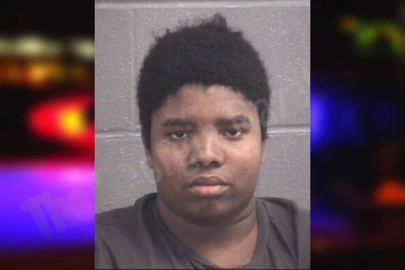 Oshawn McKenzie mugshot – Spalding County , Georgia Oshawn McKenzie mugshot