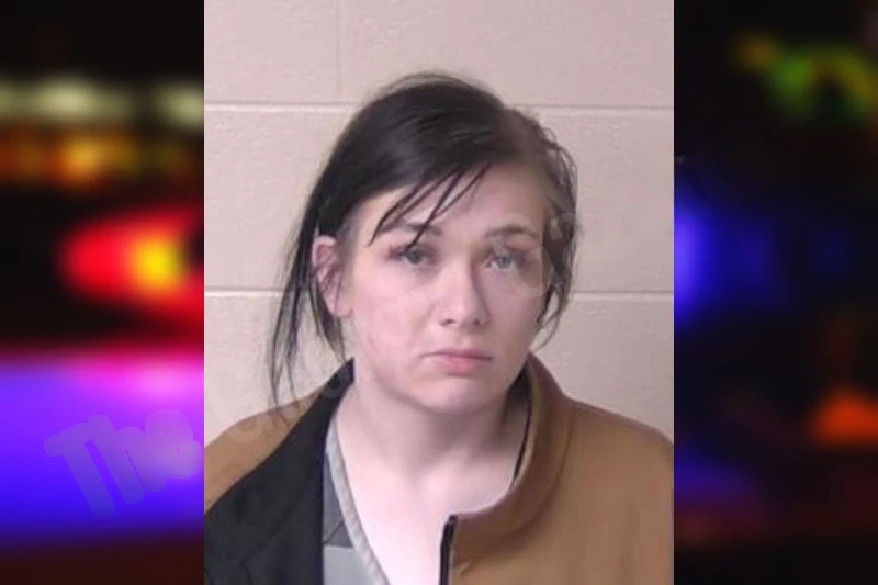 Paige Davis mugshot – Walker County , Georgia Paige Davis mugshot