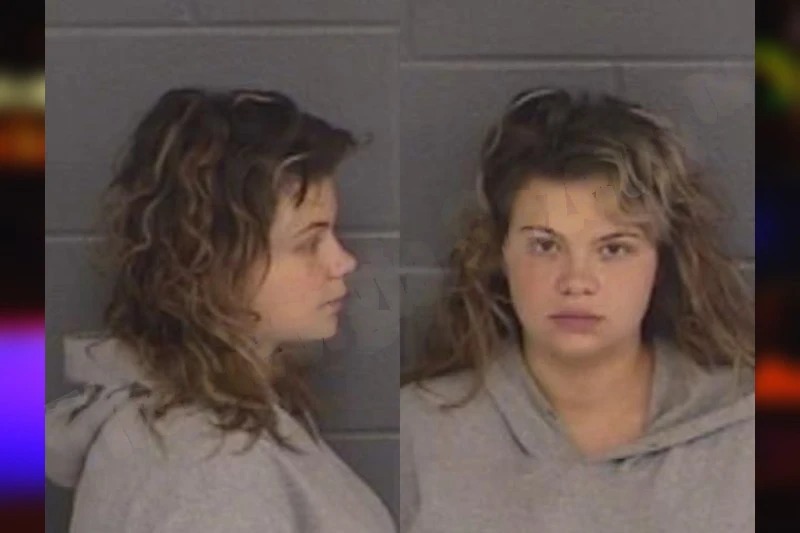 Paiton Holbrook mugshot – Barrow County , Georgia Paiton Holbrook mugshot
