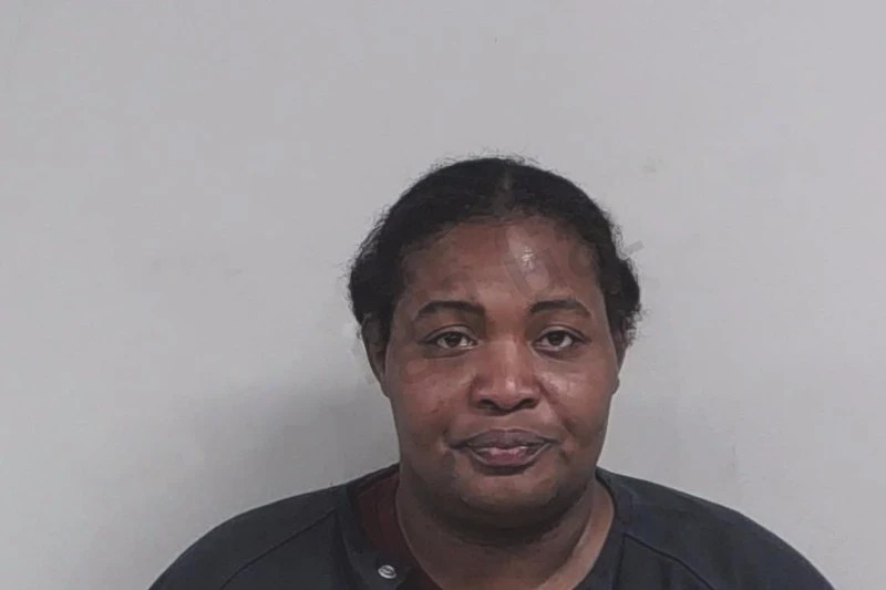 Pamela Brewer mugshot