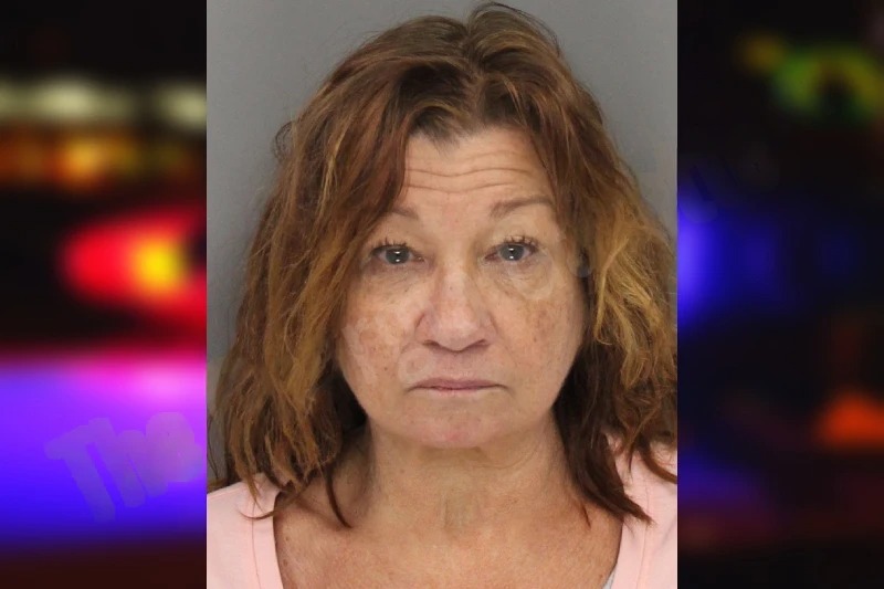 Pamela Sheppard Mugshots