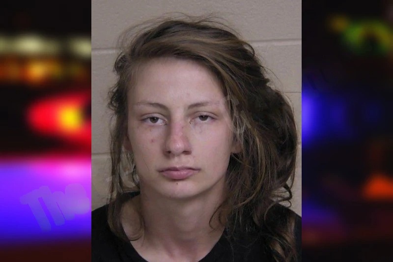 Pamela Wilkey Mugshots