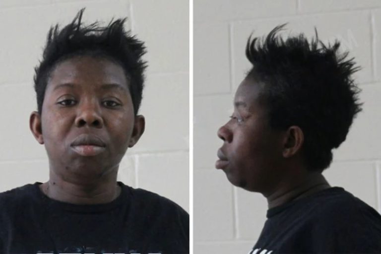 Pamela Williams mugshot – Houston County , Georgia Pamela Williams