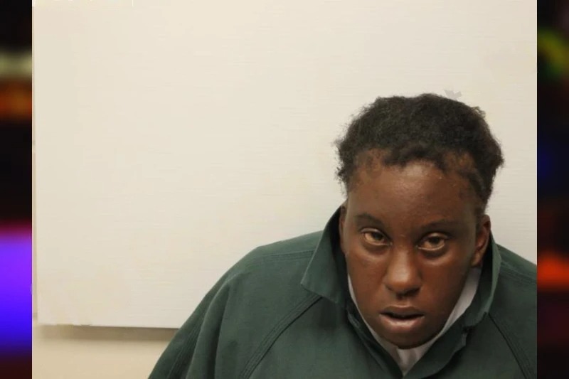 Pamphylia Baynes Mugshots