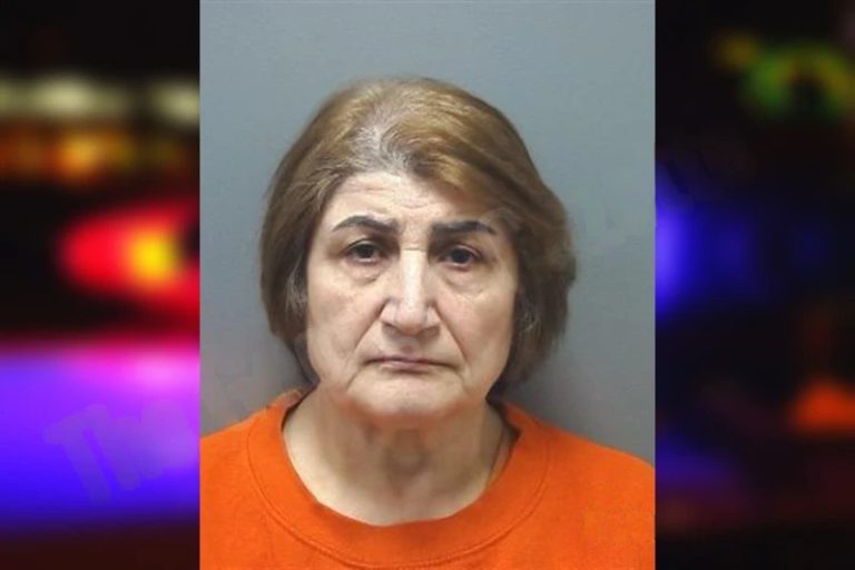 Pari Shokri mugshot – Cherokee County , Georgia Pari Shokri