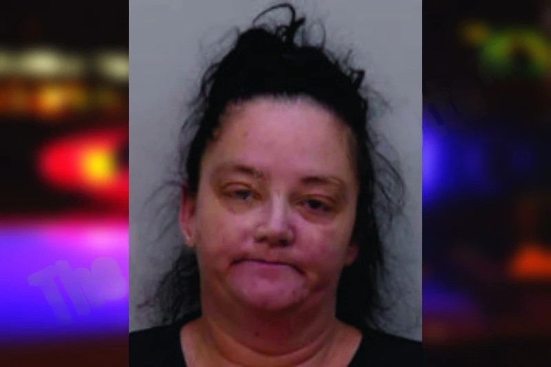 Patricia Johnson mugshot