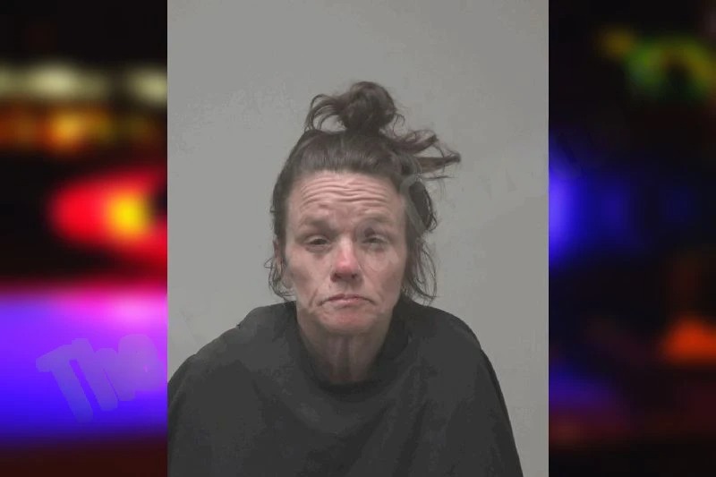 Patricia McKinney mugshot