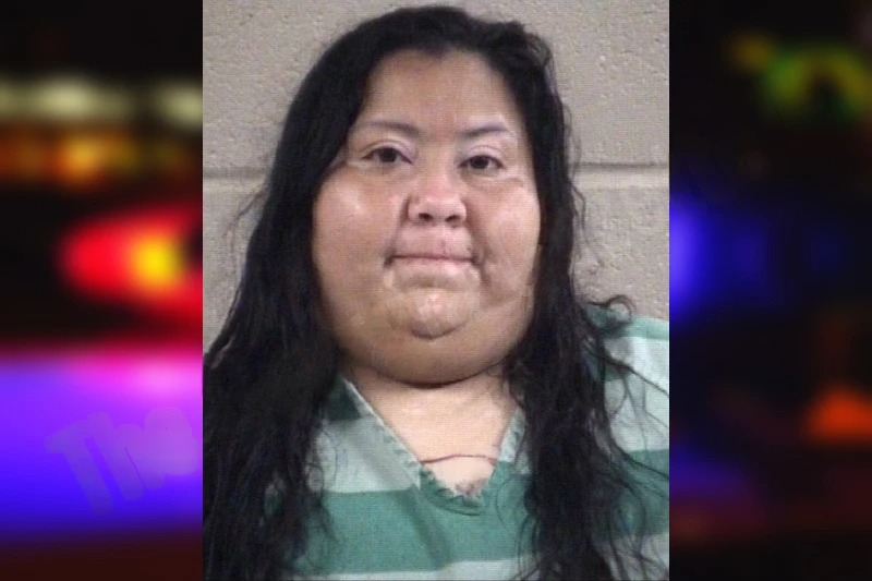 Patricia Ramirez-Brito Mugshots