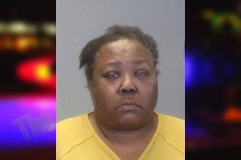 Patricia Wilson mugshot