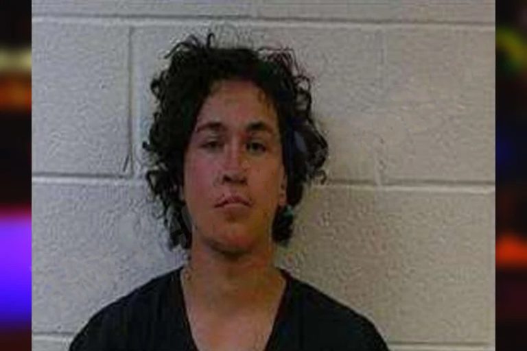 Paulo Gonzales mugshot – Polk County , Georgia Paulo Gonzales