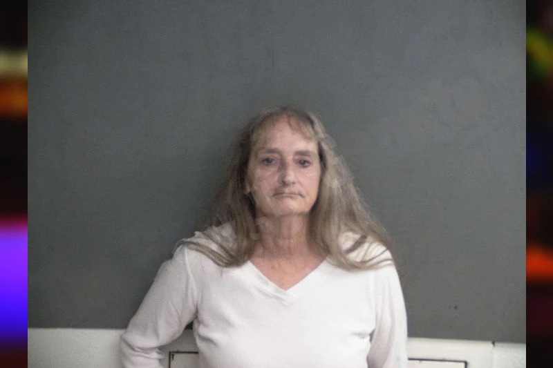 Penny Rogers mugshot – Twiggs County , Georgia Penny Rogers mugshot