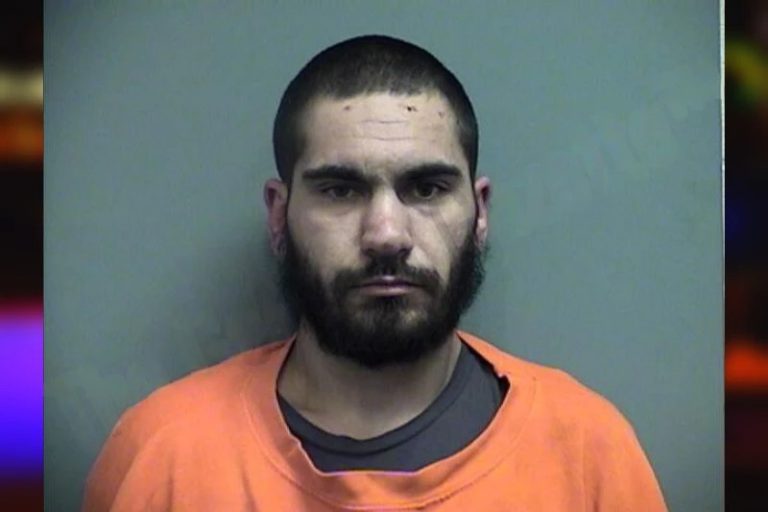 Phillipo Mihailidis mugshot – Effingham County , Georgia Phillipo Mihailidis