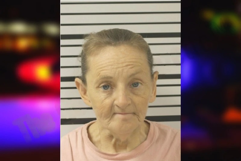 Phyllis Hamlin mugshot