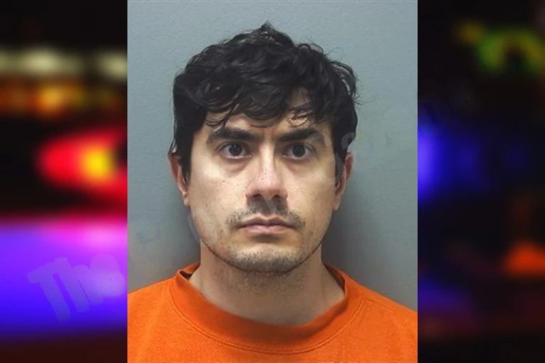 Pouya Ahadi mugshot – Cherokee County , Georgia Pouya Ahadi