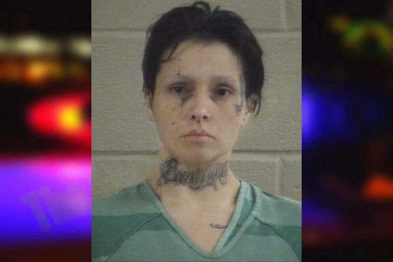 Precious Sells Mugshots