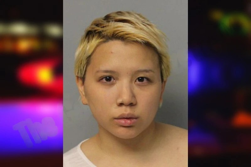 Priscilla Ng mugshot – Hall County , Georgia Priscilla Ng mugshot