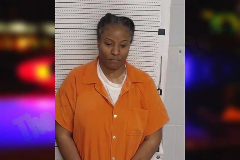 Ptoshia McNeil mugshot